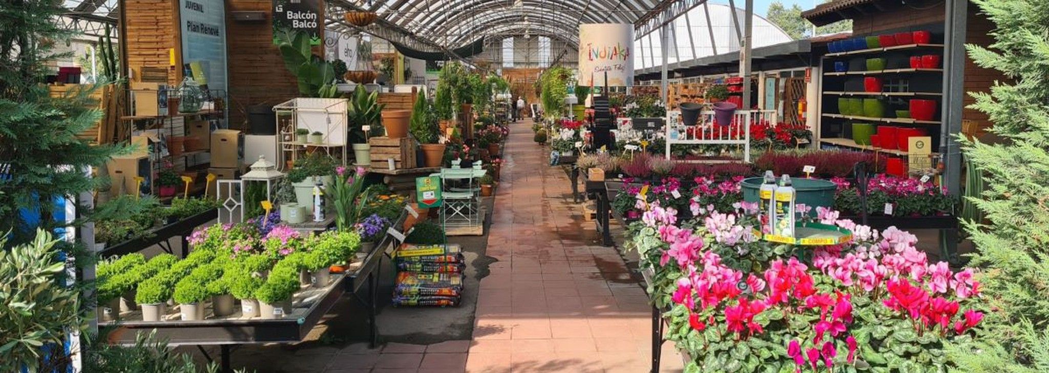 Gual zona de plantas de exterior