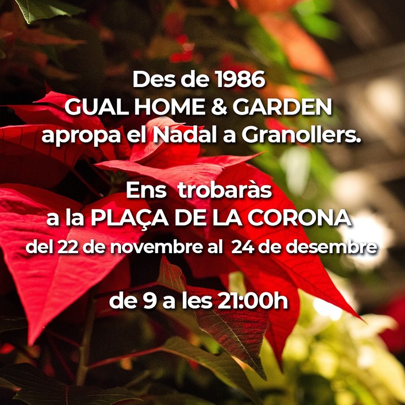 🎄✨ El Nadal ja és aquí! ✨🎄