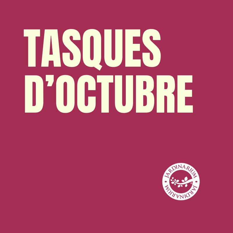 🌿🍁 Tasques d’Octubre: Prepara el teu Espai Verd! 🍂🌱