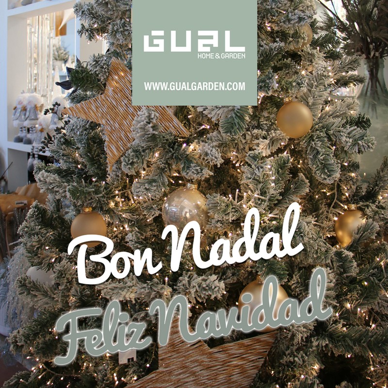 Bon Nadal / Feliz Navidad