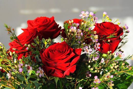 💘 Celebra el Dia dels Enamorats amb regals plens de vida: