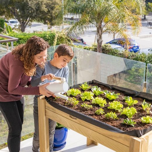🌱✨ Cultiva el teu propi hort urbà! 🏙️🍅