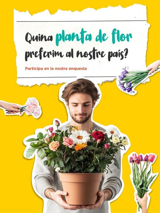 🌺Ens agradaria saber quina és la planta preferida al nostre país. Ens ajudes participant en aquesta enquesta?