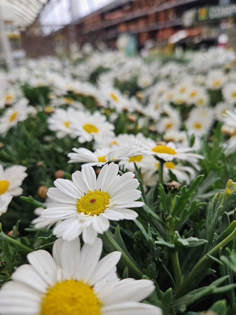La primavera no només es veu, es respira, es viu, es sent. 🌸