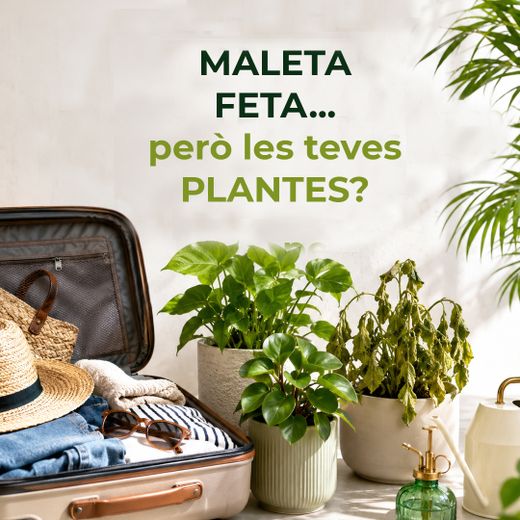 La maleta està preparada. Les plantes… potser no tant.