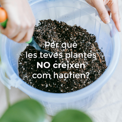 Per què les teves plantes NO creixen com haurien?
