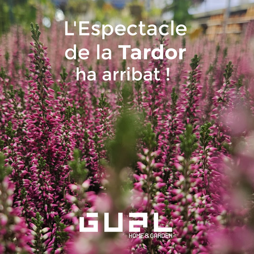 🍂 L'Espectacle de la Tardor ha arribat al Garden! 🧡