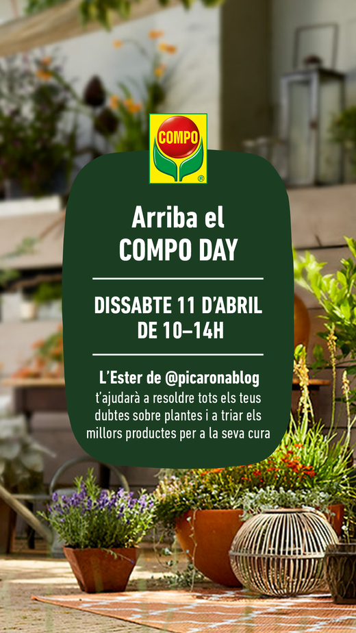 Compo Day
