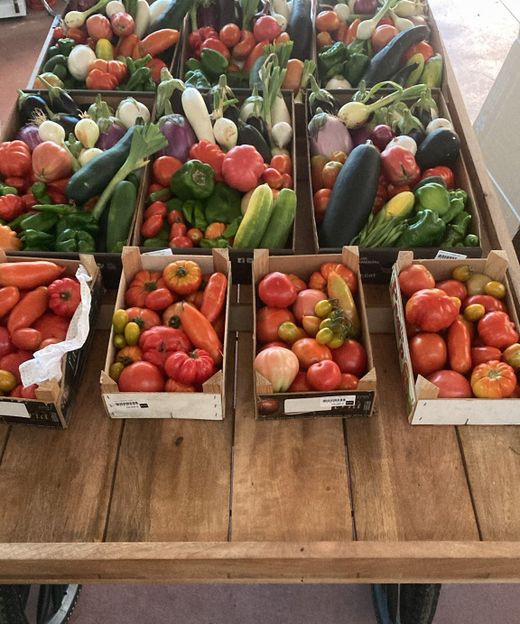 🌿 Gaudeix de la verdura del nostre hort!