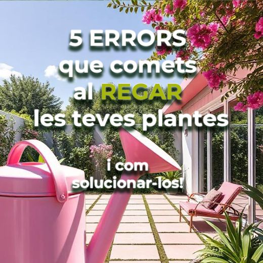 5 errors que comets en regar les teves plantes 💧❌”