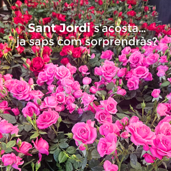 SANT JORDI ESTÀ S'ACOSTA... I TU JA SAPS COM SOPRENDRÀS? ✨🐉🌹