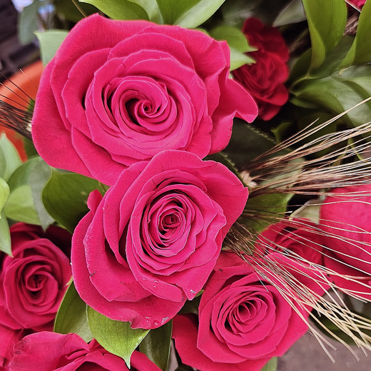 Bona Diada de Sant Jordi!