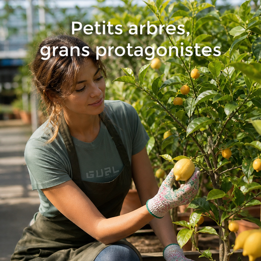 Petits arbres, grans protagonistes
