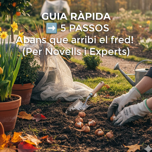 GUIA RÀPIDA: ➡️ 5 PASSOS per blindar el teu jardí abans que arribi el fred. (Per Novells i Experts)