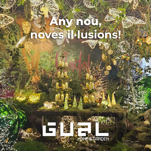 ✨ Any nou, noves il·lusions ✨