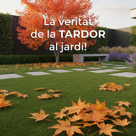 La veritat de la tardor al jardí: