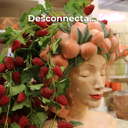 Desconnecta