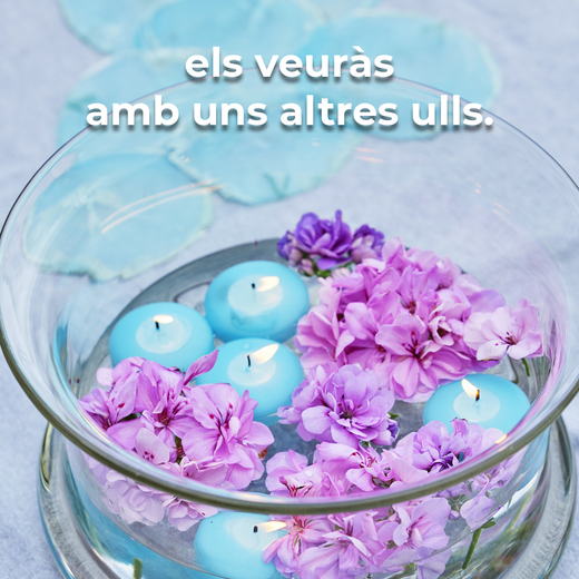 Els geranis no només serveixen per decorar... i quan descobreixis això, els veuràs amb uns altres ulls.