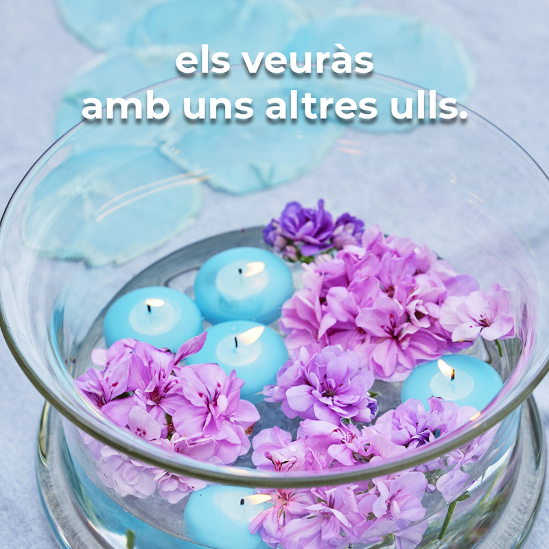 Els geranis no només serveixen per decorar... i quan descobreixis això, els veuràs amb uns altres ulls.