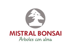 Mistral Bonsai