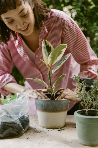 🌱 Cuida les teves plantes després de la calor extrema! 🌱