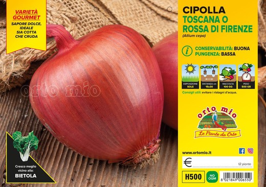 Cebolla Toscana / Roja Florencia 12 Plantas en Pack
