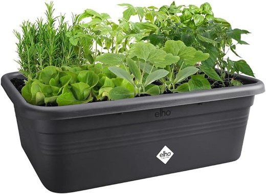 Green Basics Grow Garden L - Bandeja de plántulas negra