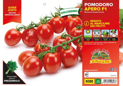 Tomate Quinto Gusto Yup F1 (Tipo Camone) 6 Plantas En Pack