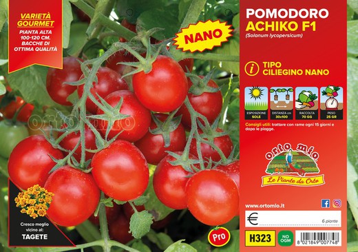 Tomate Marasca 6 Plantas en Pack