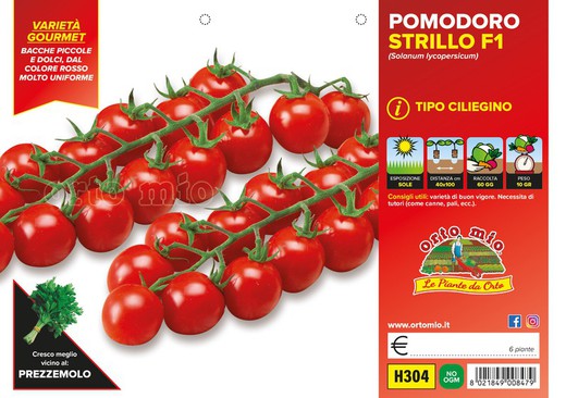 Tomate Cherry Cereza Dulce Strillo 6 Plantas en Pack