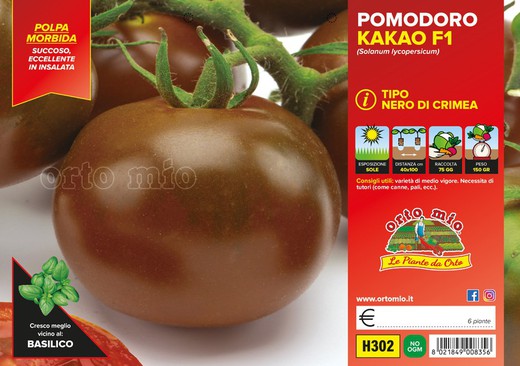 Tomate Negro de Crimea Kakao 6 Plantas en Pack