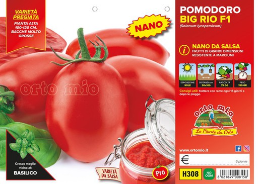 Tomate Oval Big Rio 6 Plantas En Pack
