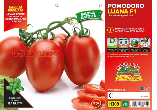 Tomate Ovalado Luana 6 Plantas en Pack