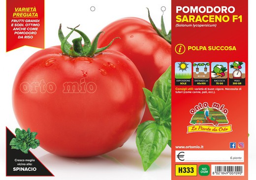 Tomate Redondo Saraceno 6 Plantas en Pack