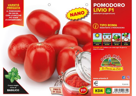 Tomate Ovalado de Conserva Kero 6 Plantas en Pack