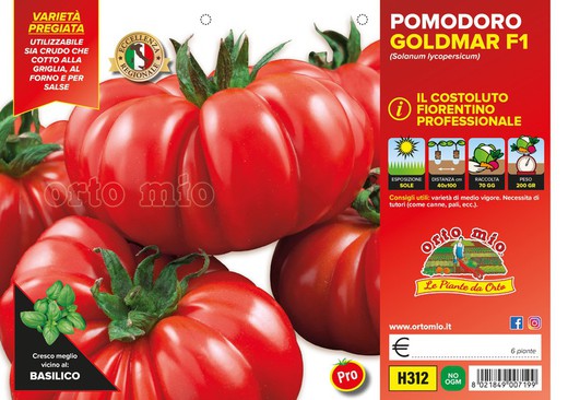 Tomate Fiorentino Novoli 6 Plantas en Pack