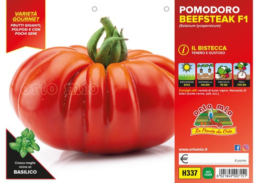 Tomate Gigante Toscano Beefsteak 6 Plantas en Pack