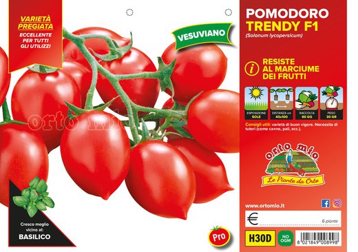 Tomate Vesuviano Trendy 6 Plantas en Pack