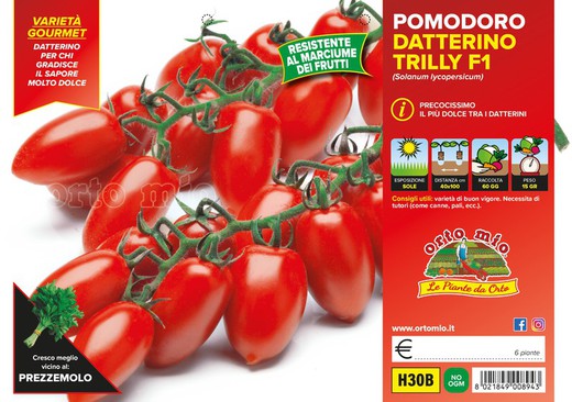Tomate Pomodoro Trilly 6 Plantas en Pack