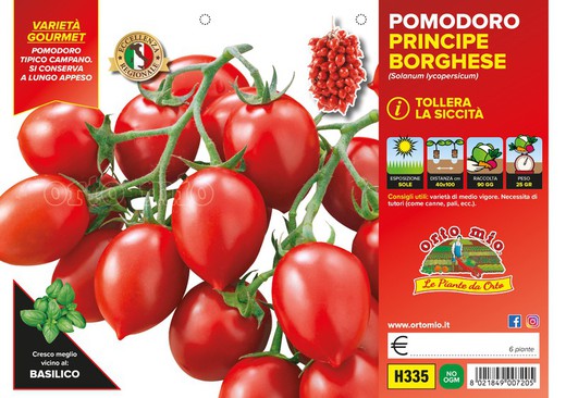 Tomate Principe Borghese 6 Plantas en Pack