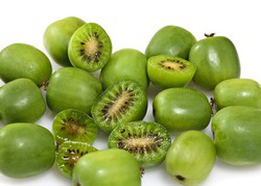 KIWI ISSAI Actinidia deliciosa 4/6 C-19