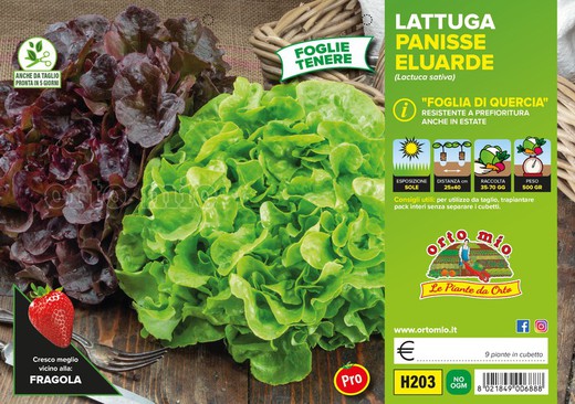 Lechuga Hoja De Roble Mix Rubia Y Roja 9 Plantas en Pack