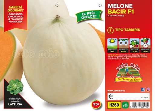 Melon Liso Yago 4 Plantas En Pack