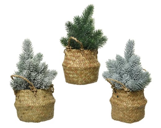 Mini arbol surtido dia13.00-H24.00cm color Assorted