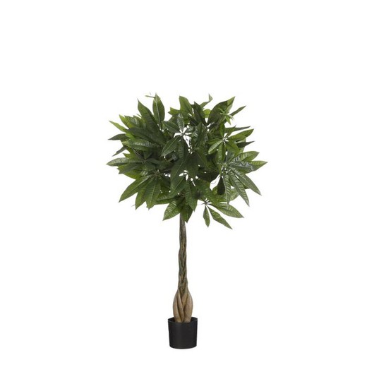 Pachira Planta artificial - Al80 x Ø60 cm - Verde