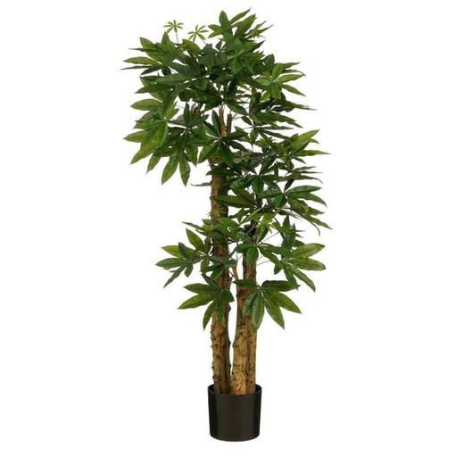 Pachira Tree Green - H175XD85CM