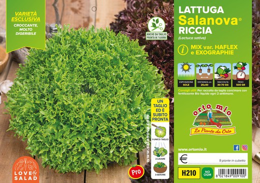 Lechuga Salanova Mix Hojas Rizadas Haflex Ed Exographie 9 Plantas En Pack