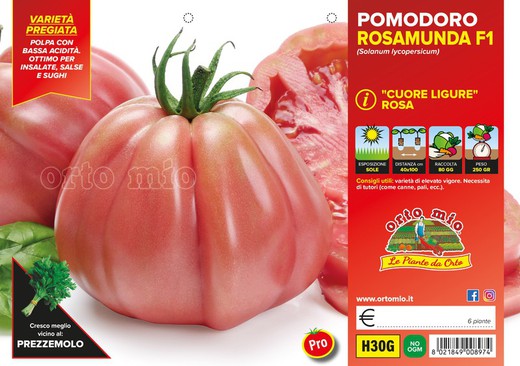 Tomate Corazon De Buey Ligure Rosamunda 6 Plantas En Pack