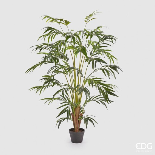 Palma Areca C/Jarron PVC H150 (48FOGL) B4