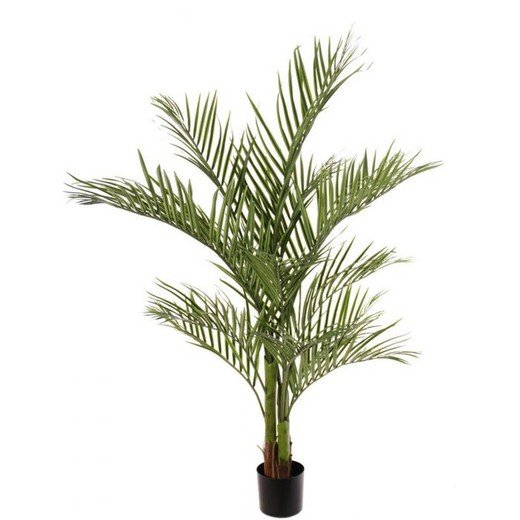 Palma Areca C/Jarron PVC H215 (739FG) B7